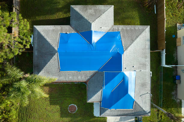 Best Roof Coating and Sealing  in Mount Airy, NC