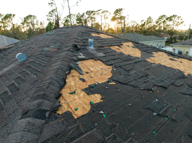 Best Asphalt Shingle Roofing  in Mount Airy, NC