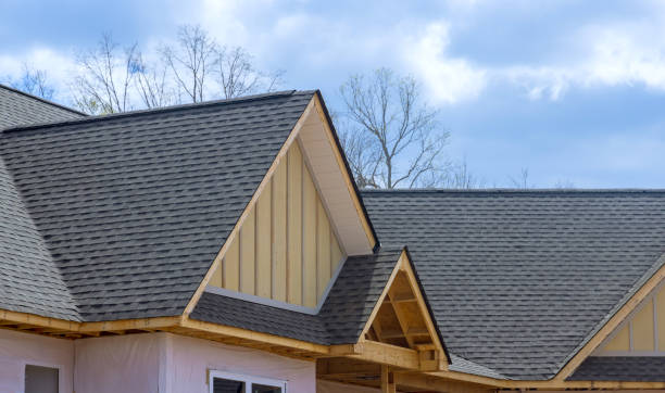 Best Gutter Installation and Repair  in Mount Airy, NC